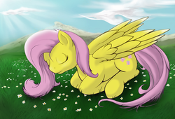 Size: 1100x750 | Tagged: safe, artist:boomythemc, fluttershy, pony, g4, female, sleeping, solo