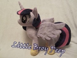 Size: 800x600 | Tagged: safe, artist:little-broy-peep, twilight sparkle, alicorn, pony, g4, irl, photo, plushie, twilight sparkle (alicorn)