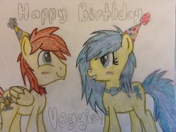 Size: 960x720 | Tagged: safe, artist:blueblitzie, oc, oc only, oc:blueberry blitz, oc:vento, pegasus, pony, birthday, happy birthday, hat, party hat, traditional art