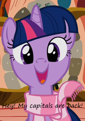 Size: 506x720 | Tagged: safe, twilight sparkle, g4, caption, clothes, happy, insane pony thread, scarf