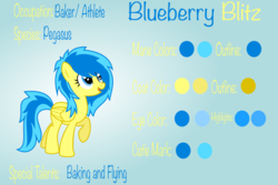 Size: 4487x3000 | Tagged: safe, artist:blueblitzie, oc, oc only, oc:blueberry blitz, pegasus, pony, reference sheet, solo