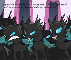 Size: 1088x919 | Tagged: safe, ant, changeling, fangs, frown, glare, grin, gritted teeth, insane pony thread, smirk