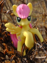 Size: 1944x2592 | Tagged: safe, fluttershy, pony, g4, blind bag, figure, irl, photo, plant, solo, toy