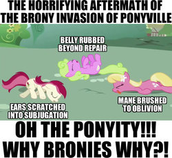 Size: 640x589 | Tagged: safe, daisy, flower wishes, lily, lily valley, roseluck, pony, applebuck season, g4, season 1, bellyrubs, brony, brushie, caption, ear scratch, flower trio, image macro, lying, lying down, on back, text, the horror