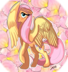 Size: 675x713 | Tagged: safe, artist:askamysky, fluttershy, pony, g4, :o, cute, female, floppy ears, hair over one eye, hiding, looking at you, raised hoof, shy, shyabetes, solo, spread wings, wing hands