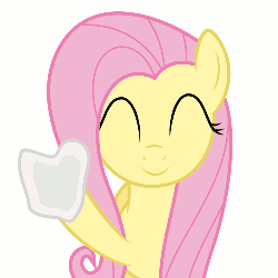 Size: 500x500 | Tagged: safe, artist:toughbluff, fluttershy, pony, g4, animated, female, fourth wall, solo