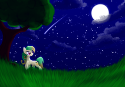 Size: 3887x2724 | Tagged: safe, artist:n_thing, oc, oc only, moon, night, stars, tree