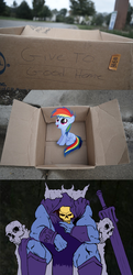 Size: 1320x2719 | Tagged: safe, rainbow dash, pegasus, pony, fanfic:my little dashie, g4, dashie meme, evil people finding dash meme, exploitable meme, filly, he-man, meme, skeletor