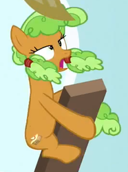 Size: 266x357 | Tagged: safe, edit, edited screencap, screencap, apple brown betty, earth pony, pony, g4, apple family member, background pony, board, cargo ship, female, mare, out of context, plank, solo