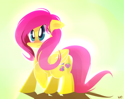 Size: 2000x1600 | Tagged: safe, artist:kty159, fluttershy, pegasus, pony, g4, backlighting, female, floppy ears, folded wings, gradient background, mare, raised hoof, solo, standing, three quarter view, wings