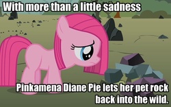 Size: 694x432 | Tagged: safe, edit, edited screencap, screencap, pinkie pie, earth pony, pony, g4, the cutie mark chronicles, blank flank, female, filly, filly pinkie pie, image macro, pet rock, pinkamena diane pie, rock farm, sad, solo, when she doesn't smile, younger