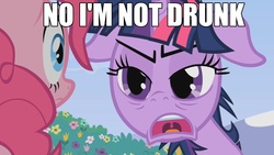 Size: 1920x1080 | Tagged: safe, pinkie pie, twilight sparkle, earth pony, pony, unicorn, g4, drunk, drunk twilight, duo, faic, floppy ears, image macro, tired, unicorn twilight