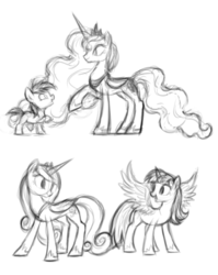 Size: 1280x1612 | Tagged: safe, artist:mn27, pipsqueak, princess cadance, princess luna, twilight sparkle, alicorn, pony, g4, female, mare, monochrome, sketch, twilight sparkle (alicorn)