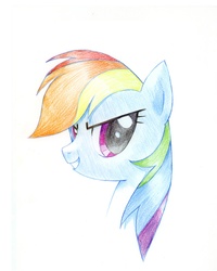 Size: 960x1200 | Tagged: safe, artist:dakusei, rainbow dash, pony, g4, female, pixiv, solo