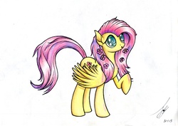 Size: 1671x1185 | Tagged: safe, artist:jacquibim, fluttershy, pony, g4, female, solo, traditional art