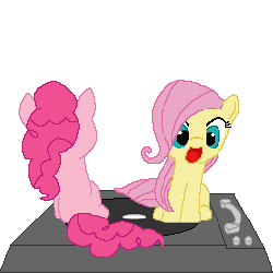 Size: 255x255 | Tagged: safe, artist:tomdantherock, fluttershy, pinkie pie, pony, g4, animated, cute, diapinkes, female, filly, gif, ponyspin, record player, shyabetes, spin, spinning, turntable pony, weapons-grade cute, you spin me right round