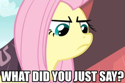 Size: 500x333 | Tagged: safe, fluttershy, g4, frown, image macro