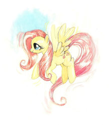 Size: 600x690 | Tagged: safe, artist:amwah, fluttershy, pony, g4, female, solo, traditional art