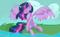 Size: 4800x3000 | Tagged: safe, artist:shishapony, twilight sparkle, alicorn, pony, g4, female, mare, twilight sparkle (alicorn)