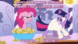 Size: 1600x900 | Tagged: safe, pinkie pie, twilight sparkle, g4, image macro