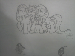 Size: 640x480 | Tagged: safe, artist:fukaimori247, fluttershy, rarity, oc, g4