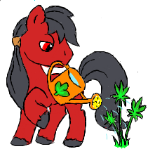 Size: 221x222 | Tagged: safe, artist:pegasus-sqveel, oc, oc only, earth pony, pony, male, stallion