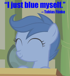 Size: 650x700 | Tagged: safe, edit, edited screencap, screencap, archer (g4), scootablue, pony, call of the cutie, g4, my little pony: friendship is magic, arrested development, blue myself, caption, cropped, image macro, solo