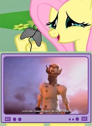 Size: 400x548 | Tagged: safe, fluttershy, pegasus, pony, g4, epic mickey, epic mickey 2, exploitable meme, female, gamershy, mad doctor, mare, tv meme