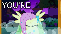 Size: 448x252 | Tagged: safe, edit, edited screencap, screencap, fluttershy, pony, g4, the best night ever, angry, animated, clothes, dress, female, flutterrage, gala dress, image macro, scratches, solo, spread wings, wings, yelling, you're going to love me