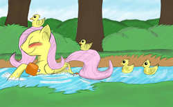 Size: 2100x1300 | Tagged: safe, artist:hbdhow, fluttershy, g4, duckling, swimming, water wings