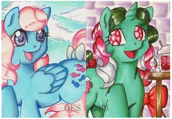 Size: 663x461 | Tagged: safe, artist:onnaevilsmith, fizzy, wind whistler, pegasus, pony, unicorn, g1