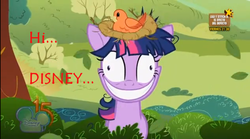 Size: 847x471 | Tagged: safe, edit, edited screencap, screencap, twilight sparkle, bird, g4, lesson zero, bird nest, crazy face, disney, disney channel, faic, female, lilo and stitch, nest, solo, spain, twilight snapple