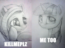 Size: 766x568 | Tagged: safe, artist:justpony, fluttershy, twilight sparkle, g4, caption, image macro, kill me, traditional art