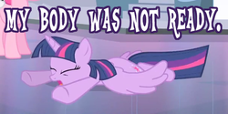 Size: 602x302 | Tagged: safe, twilight sparkle, alicorn, pony, g4, female, image macro, mare, twilight sparkle (alicorn)