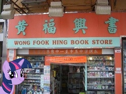 Size: 500x375 | Tagged: safe, twilight sparkle, g4, bookstore, chinese, ponies in real life, pun, twiface, wong neighborhood, wrong neighborhood