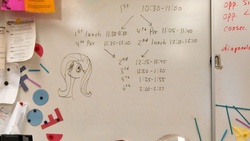 Size: 3264x1836 | Tagged: safe, fluttershy, g4, irl, photo, whiteboard