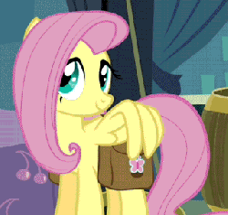 Size: 320x302 | Tagged: safe, artist:superedit, edit, edited screencap, screencap, fluttershy, sweetie belle, pegasus, pony, unicorn, g4, putting your hoof down, animated, bag, cropped, cute, diasweetes, duo, female, gif, pocket pony, saddle bag, shyabetes, wing hands