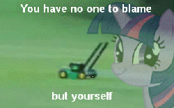 Size: 325x203 | Tagged: safe, twilight sparkle, g4, animated, flying lawn mower, lawn mower, text edit, twiface, you have no one to blame but yourself