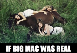 Size: 640x442 | Tagged: safe, big macintosh, horse, human, g4, barely pony related, big macintosh gets all the ladies, implied bestiality, implied interspecies, irl, irl horse, irl human, photo, sleeping, swag