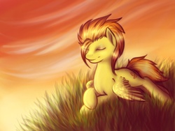 Size: 1024x768 | Tagged: safe, artist:mausefang, spitfire, g4, sunset