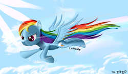 Size: 3000x1730 | Tagged: safe, artist:camaine, rainbow dash, g4, solo