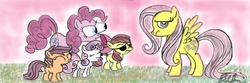 Size: 1080x360 | Tagged: safe, fluttershy, pinkie pie, g4, eye bulging