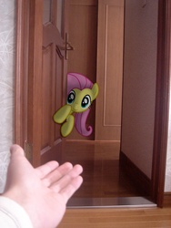 Size: 1944x2592 | Tagged: safe, artist:patoriotto, fluttershy, g4, door, hand, irl, photo, ponies in real life