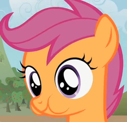 Size: 500x480 | Tagged: safe, screencap, scootaloo, pegasus, pony, g4, bust, cropped, female, filly, portrait, puffy cheeks, solo