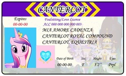 Size: 500x300 | Tagged: safe, artist:doctorxfizzle, princess cadance, g4, full name, id card, license, misspelling