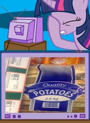 Size: 563x771 | Tagged: safe, twilight sparkle, g4, exploitable meme, facehoof, fail, meme, seems legit, tv meme, wood