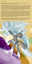 Size: 960x1920 | Tagged: safe, artist:severus, oc, oc only, oc:stormfront, comic:all that glitters, appleloosa, cloud, cloudy, lightning, stories from the front