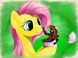 Size: 1600x1200 | Tagged: safe, artist:ac-whiteraven, fluttershy, pony, songbird, g4, bioshock, bioshock infinite, female, green background, mare, simple background, solo