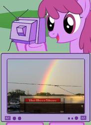 Size: 511x700 | Tagged: safe, berry punch, berryshine, g4, beer, exploitable meme, rainbow, store, tv meme