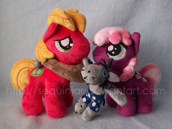 Size: 600x451 | Tagged: safe, artist:sequinjar, big macintosh, cheerilee, smarty pants, earth pony, pony, g4, hearts and hooves day (episode), cheeribetes, colt, cute, filly, hearts and hooves day, irl, macabetes, male, photo, plushie, ship:cheerimac, shipping, stallion, straight